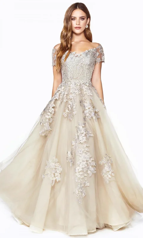 Women's Occasion Wear Clothing Cinderella Divine C20